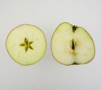 Borsdorfer æble